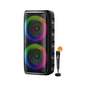 6.5" x2 Portable DJ Speaker Box