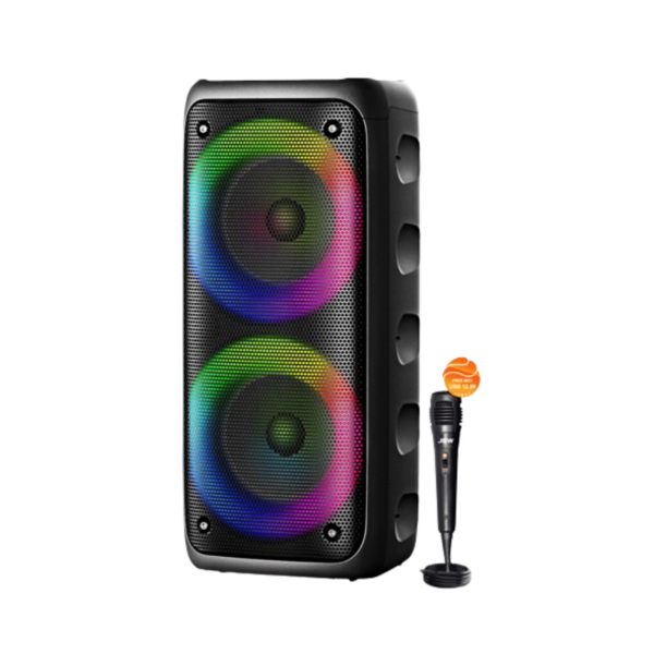6.5" x2 Portable DJ Speaker Box