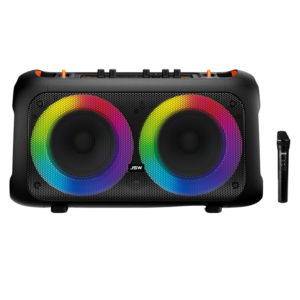 6.5" x2 Rechargeable Speaker Box