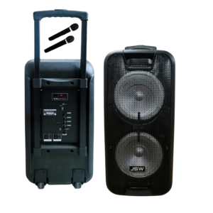 10" x2  Portable DJ Speaker