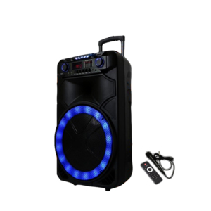 15"   Portable DJ Speaker